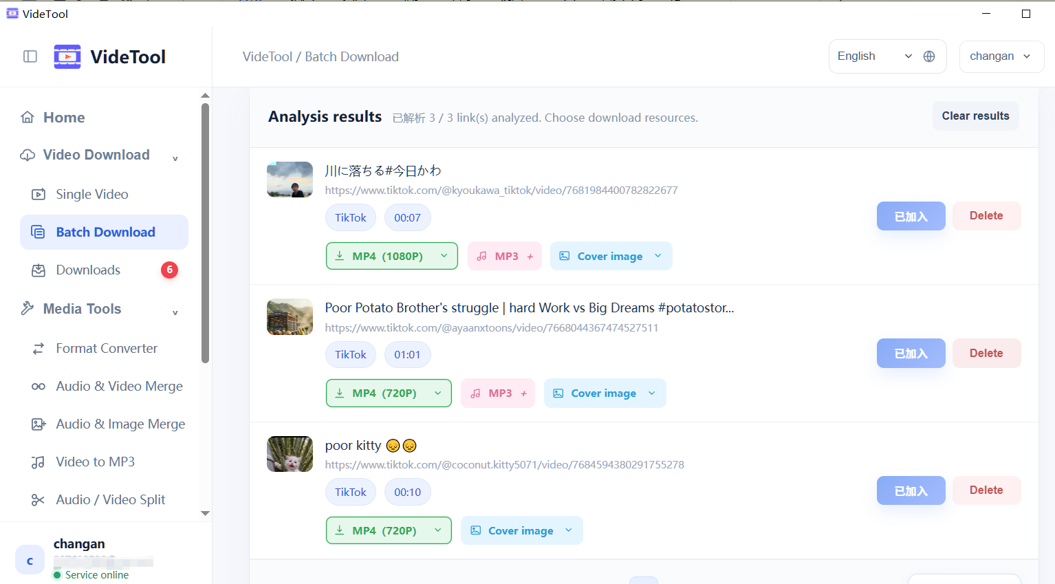 VideTool 批量下载界面截图
